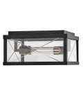 Monte 2-lt outdoor flush ceiling light black/clear 30.5 cm IP44