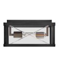 Monte 2-lt outdoor flush ceiling light black/clear 30.5 cm IP44