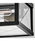 Monte 2-lt outdoor flush ceiling light black/clear 30.5 cm IP44