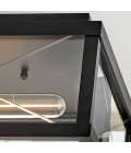 Monte 2-lt outdoor flush ceiling light black/clear 30.5 cm IP44