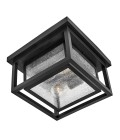 Republic 2-lt small outdoor flush ceiling light black/clear seedy glass 27.9 cm IP44