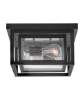 Republic 2-lt small outdoor flush ceiling light black/clear seedy glass 27.9 cm IP44