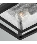 Republic 2-lt small outdoor flush ceiling light black/clear seedy glass 27.9 cm IP44
