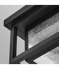 Republic 2-lt small outdoor flush ceiling light black/clear seedy glass 27.9 cm IP44