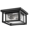 Republic 2-lt small outdoor flush ceiling light black/clear seedy glass 27.9 cm IP44