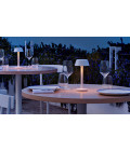 Firefly In The Sky  battery table lamp 26.5 cm