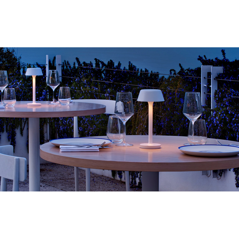 Firefly In The Sky  battery table lamp 26.5 cm