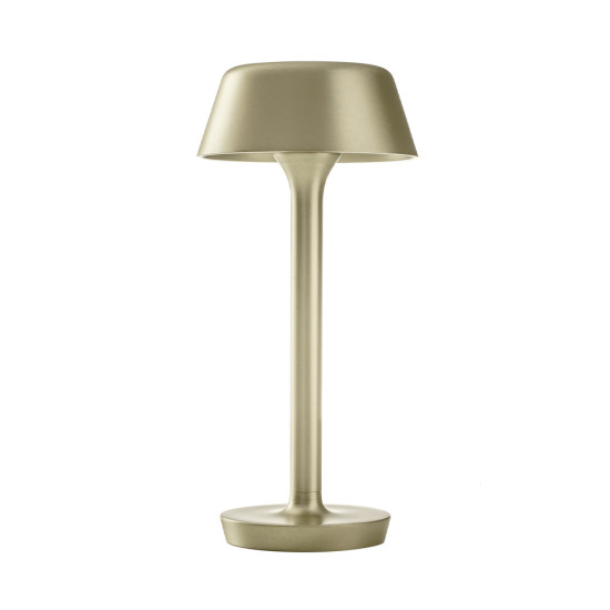 Firefly In The Sky batteridriven bordslampa 26,5 cm