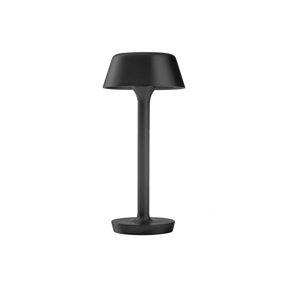 Firefly In The Sky  battery table lamp 26.5 cm