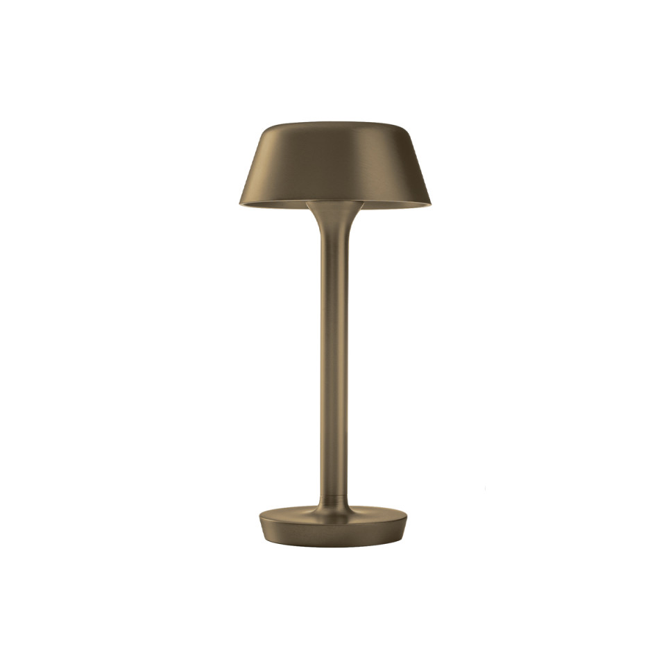 Firefly In The Sky  battery table lamp 26.5 cm
