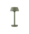 Firefly In The Sky  battery table lamp 26.5 cm