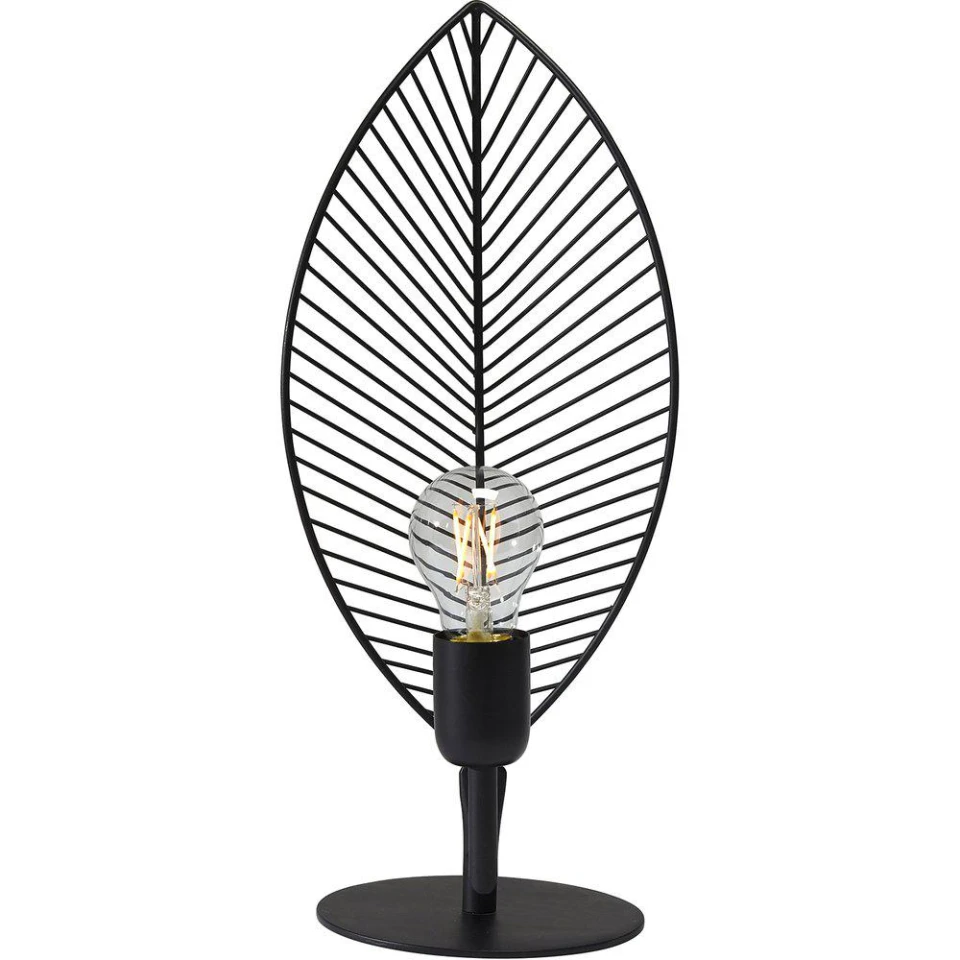 Elm Table Lamp M 42 cm