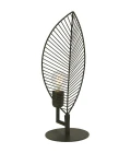 Elm Table Lamp M 42 cm